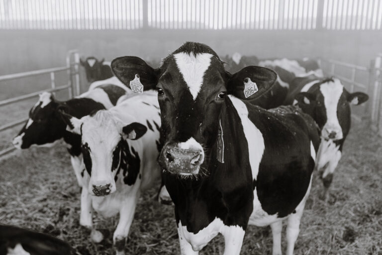 Pourquoi faire un documentaire photo.